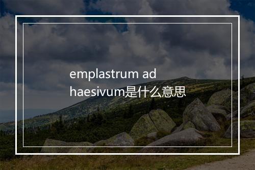 emplastrum adhaesivum是什么意思