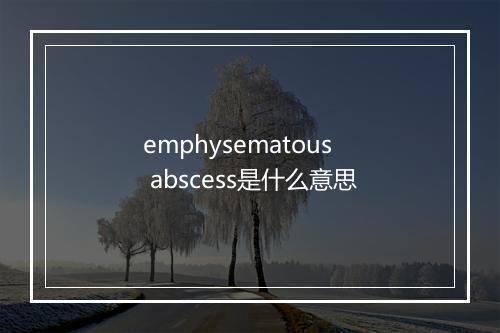 emphysematous abscess是什么意思