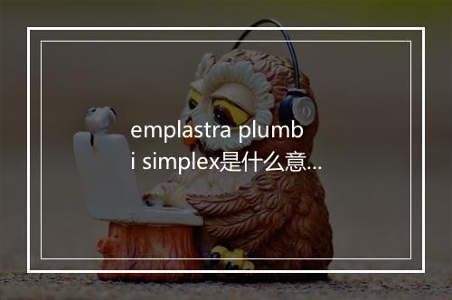 emplastra plumbi simplex是什么意思