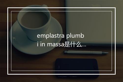 emplastra plumbi in massa是什么意思