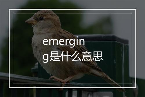 emerging是什么意思