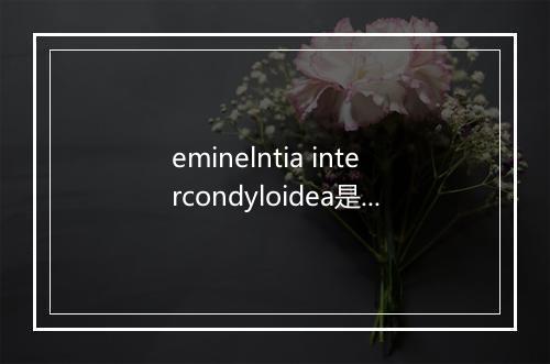 eminelntia intercondyloidea是什么意思