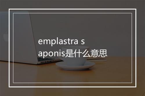 emplastra saponis是什么意思