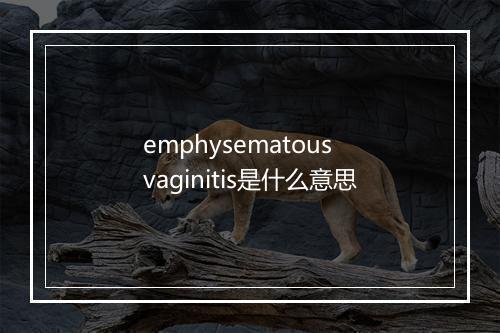 emphysematous vaginitis是什么意思