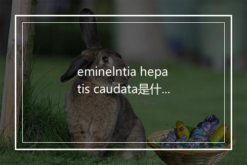 eminelntia hepatis caudata是什么意思