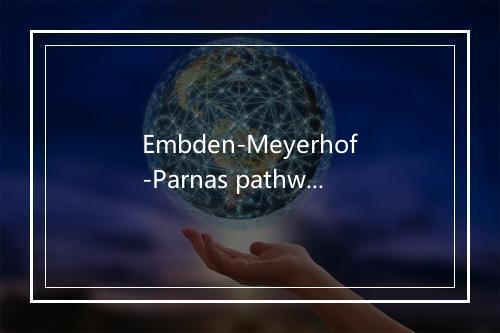 Embden-Meyerhof-Parnas pathway是什么意思