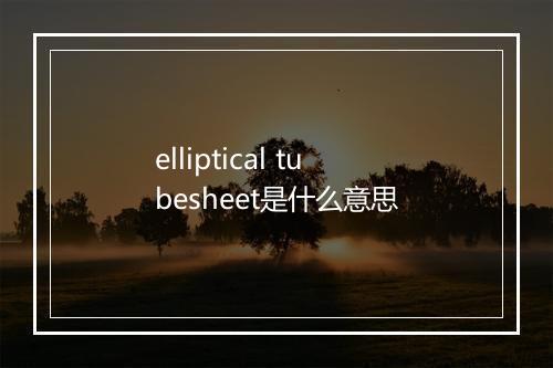 elliptical tubesheet是什么意思