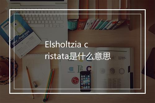 Elsholtzia cristata是什么意思