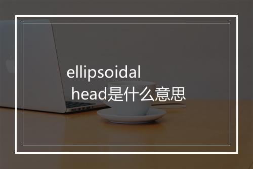 ellipsoidal head是什么意思