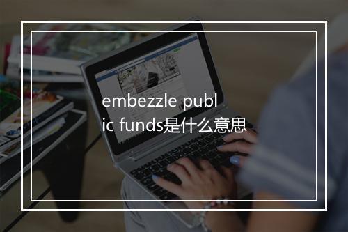 embezzle public funds是什么意思