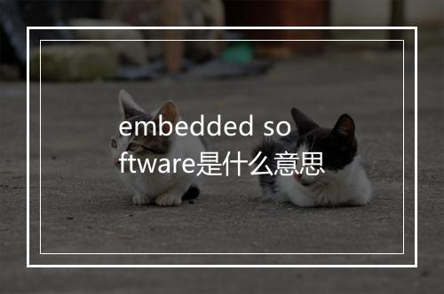 embedded software是什么意思