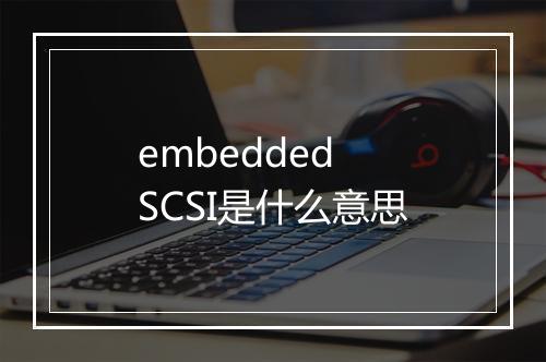 embedded SCSI是什么意思