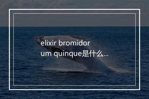 elixir bromidorum quinque是什么意思