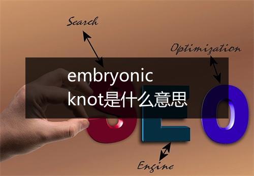 embryonic knot是什么意思