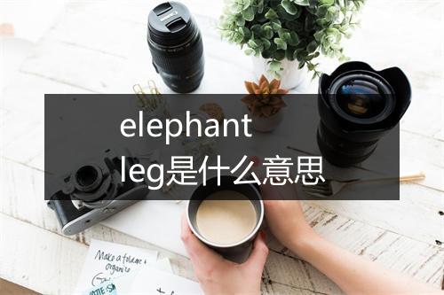 elephant leg是什么意思