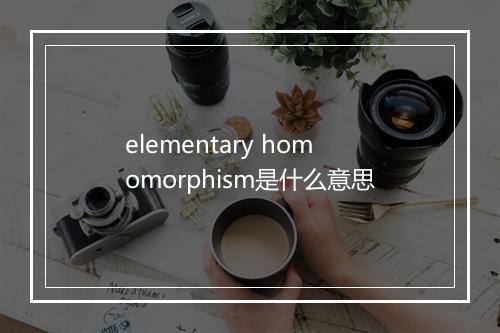 elementary homomorphism是什么意思