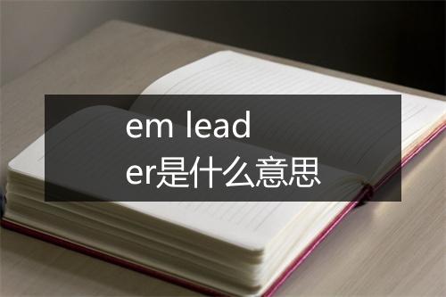 em leader是什么意思