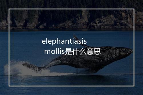 elephantiasis mollis是什么意思