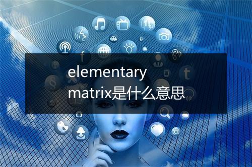 elementary matrix是什么意思