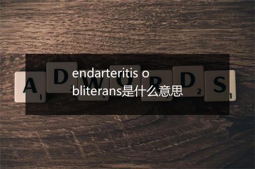 endarteritis obliterans是什么意思