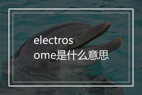 electrosome是什么意思