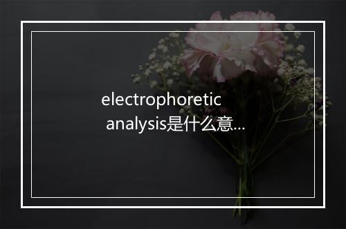 electrophoretic analysis是什么意思