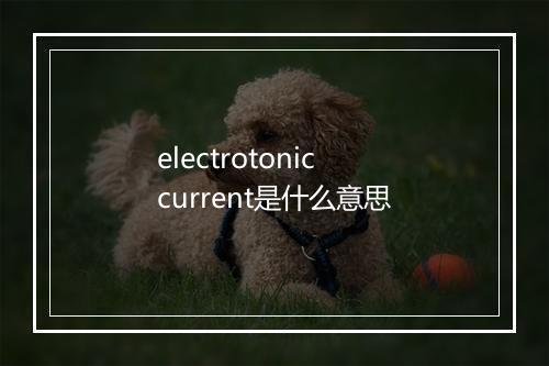 electrotonic current是什么意思