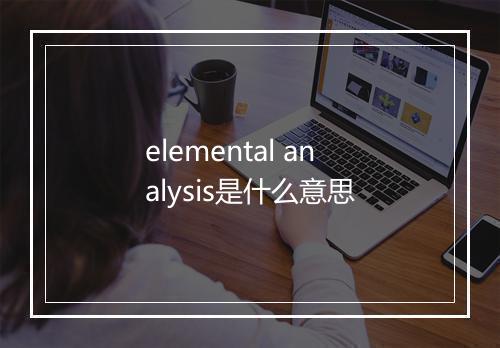 elemental analysis是什么意思