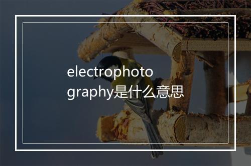 electrophotography是什么意思