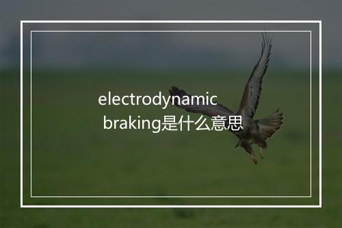 electrodynamic braking是什么意思