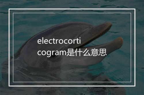 electrocorticogram是什么意思