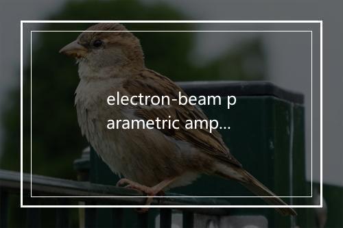 electron-beam parametric amplifier是什么意思