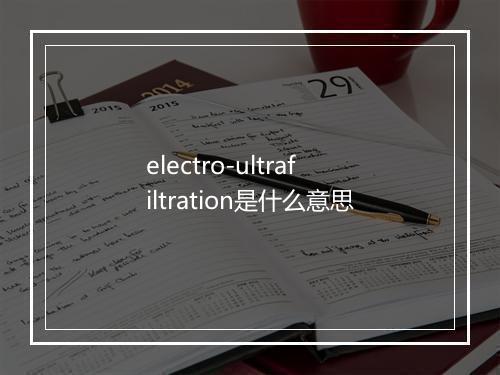 electro-ultrafiltration是什么意思