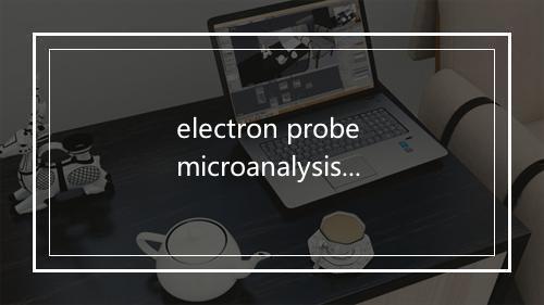 electron probe microanalysis是什么意思