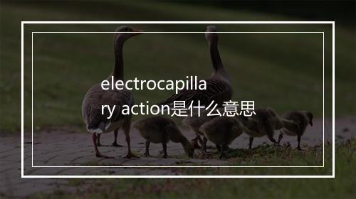 electrocapillary action是什么意思