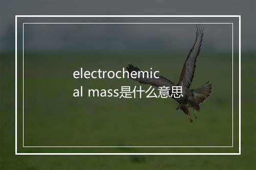 electrochemical mass是什么意思