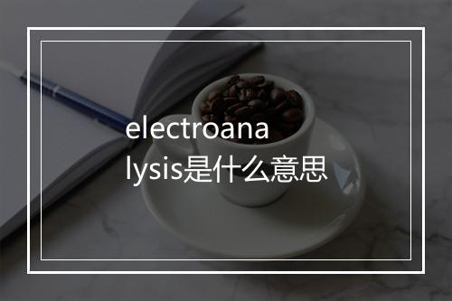 electroanalysis是什么意思