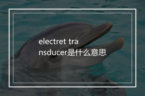 electret transducer是什么意思