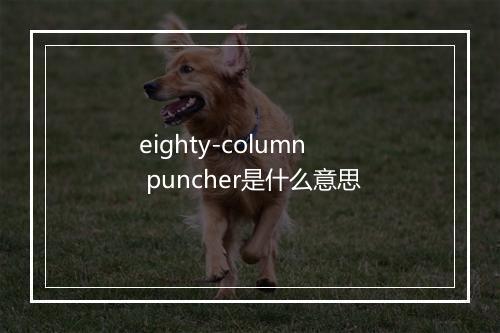 eighty-column puncher是什么意思