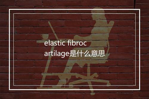 elastic fibrocartilage是什么意思