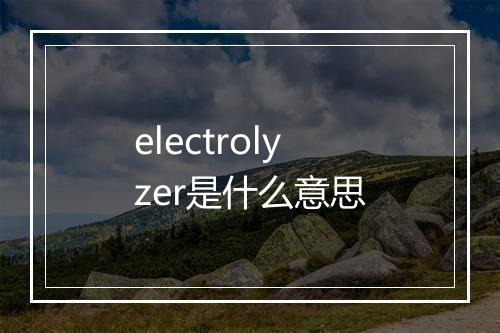 electrolyzer是什么意思