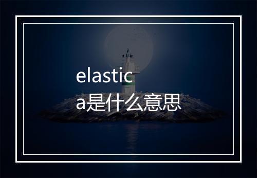 elastica是什么意思