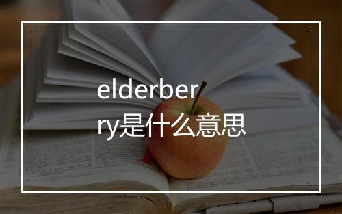 elderberry是什么意思