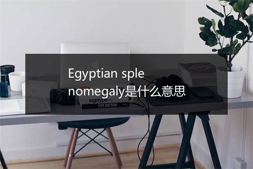 Egyptian splenomegaly是什么意思