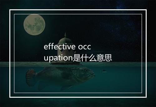 effective occupation是什么意思