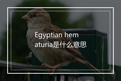 Egyptian hematuria是什么意思