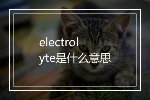 electrolyte是什么意思