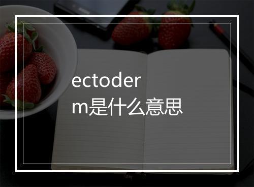 ectoderm是什么意思