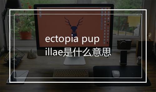 ectopia pupillae是什么意思