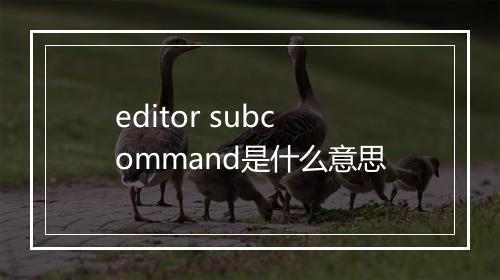 editor subcommand是什么意思